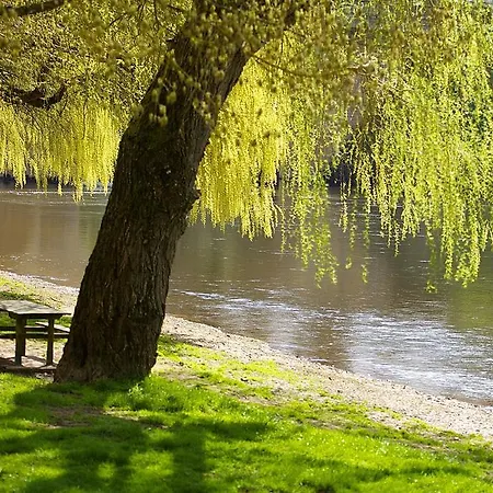 Hébergement de vacances La Buissonniére Le Buisson-de-Cadouin